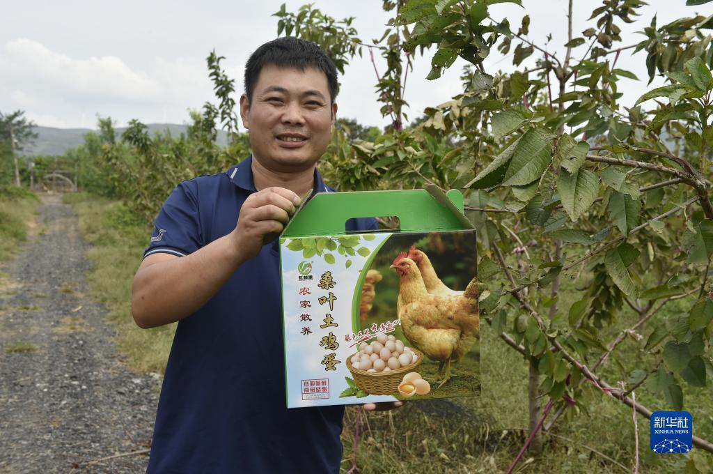 能申请跳槽彩金的网站